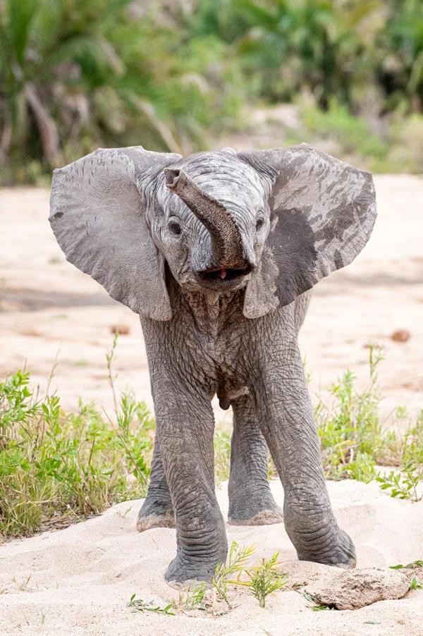 Jock Safari Lodge: A Honeymoon to Remember in the Heart of Kruger, photo 6
